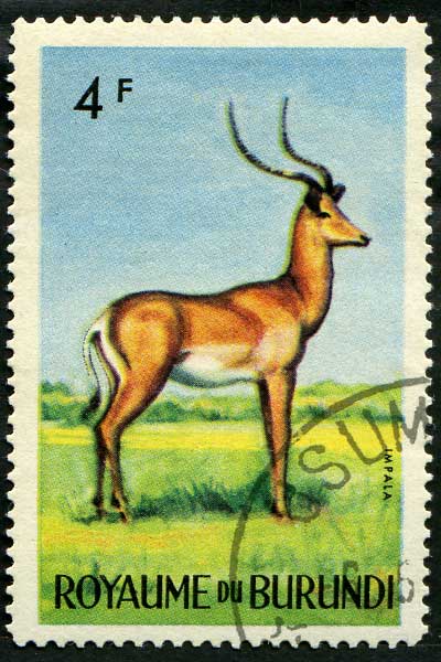 Африканские животные, 1964
