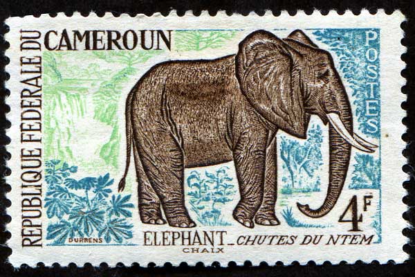 Африканские животные, 1962