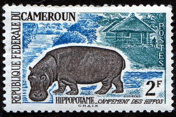 Африканские животные, 1962
