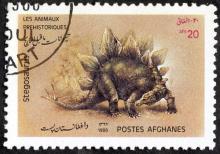Динозавры, Афганистан